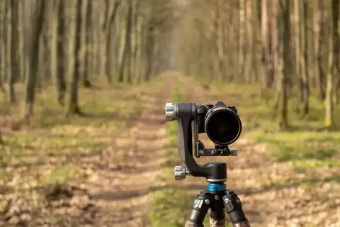 Profesjonalny aparat na statywie czeka na uchwycenie piękna lasu. To idealne miejsce na fotografia przyrody.