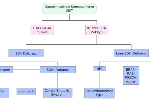 Flussdiagramm zur Klassifizierung von GIST-Tumoren basierend auf Genmutationen und SDH-Defizienz.