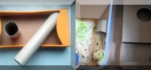 Twórz bezpieczny plac zabaw dla chomika DIY z łatwych materiałów