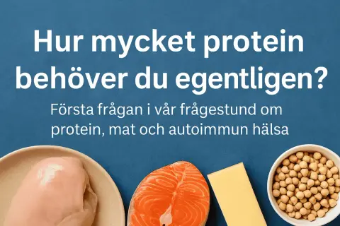 Fakta om protein: kyckling, lax, ost och kikärtor. Hur mycket protein behöver du?