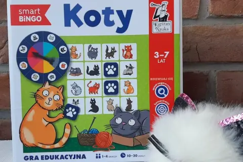 Jak grać w kotki - proste zasady i strategie, aby wygrać