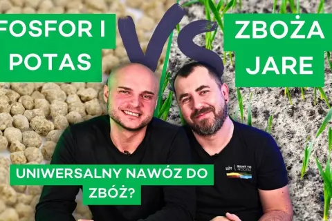 Jaki nawóz pod mieszankę zbożową – uniknij błędów w uprawie