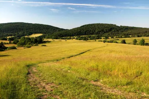 Beskid Niski - najpiękniejsze szlaki. Droga przez złote pola i lasy, zapraszająca do wędrówki.