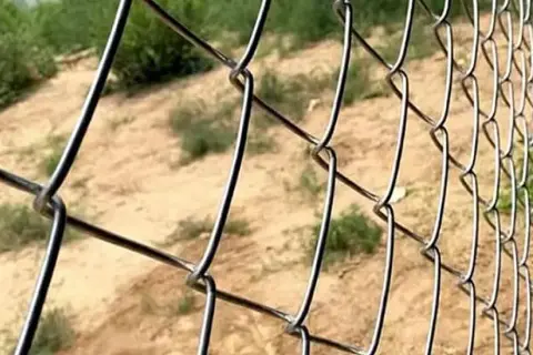 Ile kosztuje metr siatki ogrodowej? Sprawdź ceny i rodzaje siatek