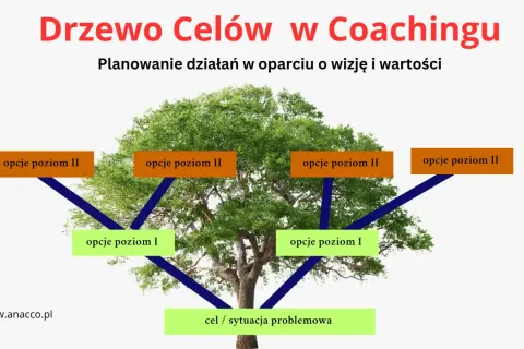 Drzewo celów w coachingu: planowanie działań od sytuacji problemowej przez opcje I i II. Różne rodzaje coachingu mogą wykorzystywać tę metodę.