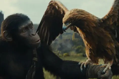 Ein Schimpanse aus "Planet der Affen: New Kingdom" blickt zu einem majestätischen Adler, der auf seinem Arm sitzt.