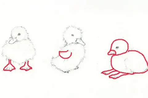 Tres tiernos dibujos de patos, uno de pie, otro sentado y uno más recostado, con contornos rojos resaltando sus formas.