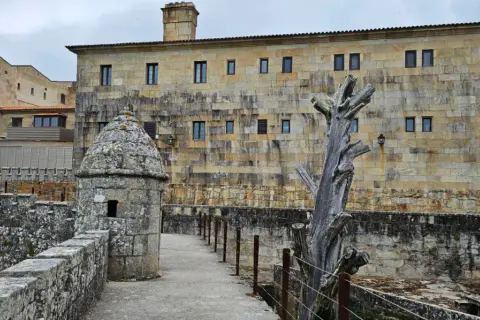 Camino de piedra hacia la fortaleza de Baiona, con una garita y un árbol seco.