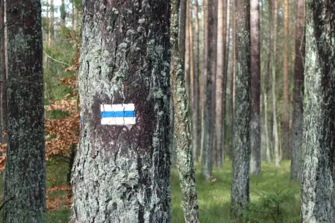 Niebieski szlak PTTK: Długość czy trudność? Prawda o oznakowaniu
