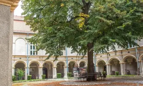 Najlepsze atrakcje w Krapkowicach, które musisz zobaczyć podczas wizyty