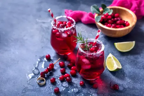 Dwa orzeźwiające drinki z żurawiną i limonką, idealne co na aperitif.