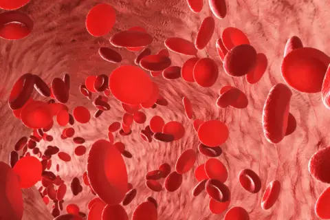 Czerwone krwinki w naczyniu krwionośnym. Niski poziom erytrocytów w ciąży może być powodem do niepokoju.