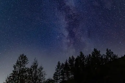 Nocne niebo pełne gwiazd i Drogi Mlecznej nad ciemnym lasem. Idealne do oglądania gwiazd.