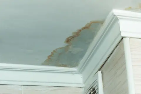 Taches brunes sur le plafond de la salle de bain, signe de moisissure malgré la VMC. Problème d'humidité persistant.