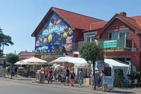 Oceanarium w Niechorzu - Ciekawe atrakcje i opinie odwiedzających