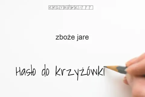 Zboże jare krzyżówka - najważniejsze hasła i odpowiedzi do zagadek