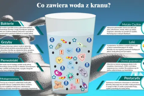 Co zawiera woda z kranu? Zaskakujące składniki i ich wpływ na zdrowie