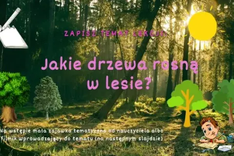 Jakie drzewa rosną w lesie klasa 4 - poznaj ciekawe gatunki drzew
