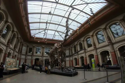 Muzeum sztuki naturalnej Berlin - Fascynujące zbiory i wystawy