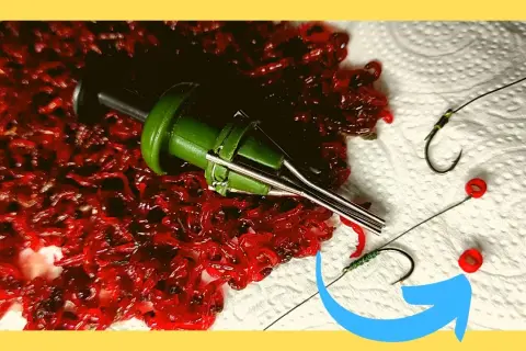 Pellet ochotka na jakie ryby – skuteczne łowienie bez niepowodzeń