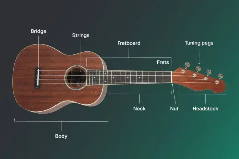 Ile trwa nauka gry na ukulele: zdobądź umiejętności szybciej niż myślisz