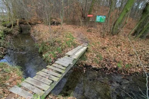 Rezerwaty przyrody na Śląsku - odkryj ich piękno i tajemnice