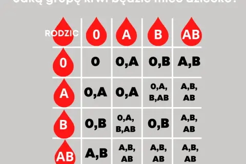 Jaką grupę krwi ma dziecko po rodzicach? zaskakujące zasady dziedziczenia