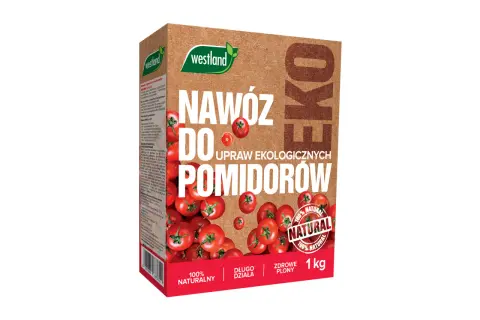 Jaki naturalny nawóz do pomidorów zapewni zdrowe plony i ekologiczną uprawę?