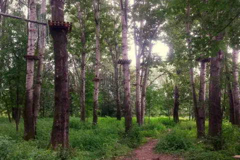 Park linowy Stary Sącz - poznaj trasy i emocje w Lemurze