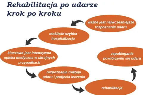 Rehabilitacja po udarze: kluczowe etapy i wyzwania procesu
