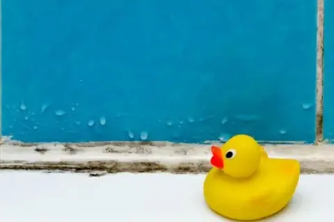 Jak pozbyć się pleśni z łazienki - skuteczne metody i porady