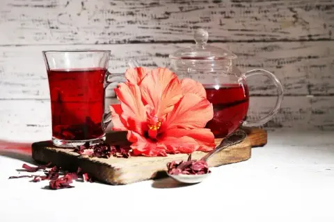 Jaki hibiskus na herbatę wybrać? Odmiany, smak i korzyści dla zdrowia
