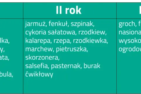 Kiedy kompost pod warzywa? Kluczowe terminy i skuteczne metody zastosowania