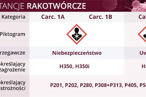 Czy hybrydy są rakotwórcze? Fakty i mity o bezpieczeństwie aut