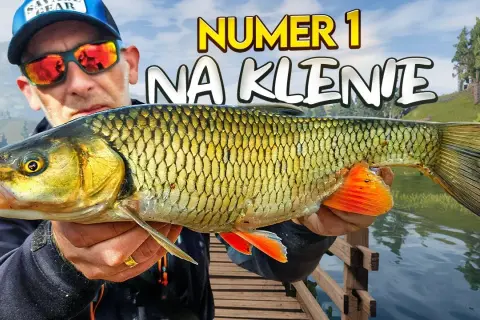 Najlepsze przynęty na klenia spinning - skuteczne metody łowienia