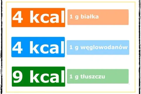 Białko ile kcal? Poznaj kaloryczność i znaczenie dla zdrowia