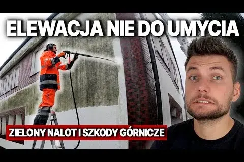 Jak skutecznie usunąć zielony nalot z elewacji – sprawdzone metody i porady