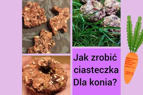 Jak zrobić ciastka dla koni, które zachwycą twojego pupila