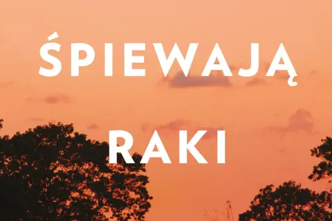Gdzie śpiewają raki książka o czym jest? Poznaj jej mroczne tajemnice
