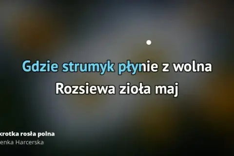 Gdzie strumyk płynie z wolna podkłady muzyczne - znajdź idealny podkład