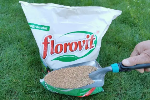 Jaki nawóz do roślin zielonych, aby uniknąć błędów w pielęgnacji?