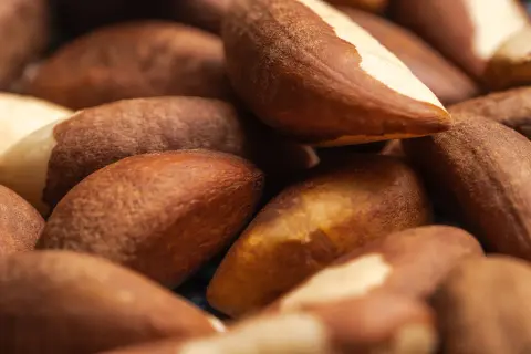 Superfood z Amazonii. Orzechy brazylijskie i ich właściwości, które zaskakują