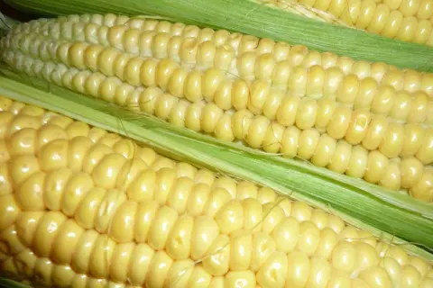 Czy mascarpone ma gluten? Odkryj, dlaczego jest bezpieczne dla Ciebie