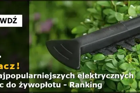 Nożyce do żywopłotu jakie wybrać – uniknij najczęstszych błędów