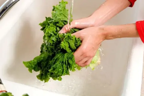 Jak uratować gorzką sałatkę i cieszyć się jej smakiem na nowo
