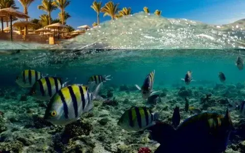 Czy Marsa Alam w Egipcie jest bezpieczna? Oto, co musisz wiedzieć