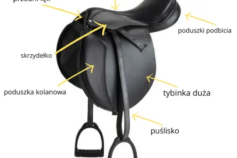 Jak wygląda siodło? Budowa, rodzaje i zastosowanie w jeździectwie