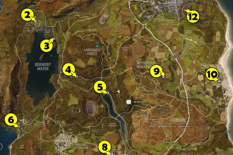 Forza Horizon 4: Ile aut? Zaskakująca liczba pojazdów w grze!