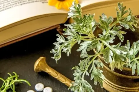 Homeopatia studia - klucz do sukcesu w medycynie alternatywnej