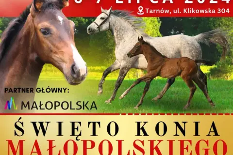 Klikowa stadnina: Poznaj wyjątkowe konie i ich historię